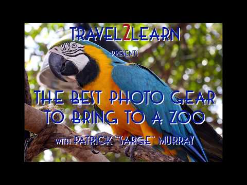 The Best Photo Gear to Bring to a Zoo