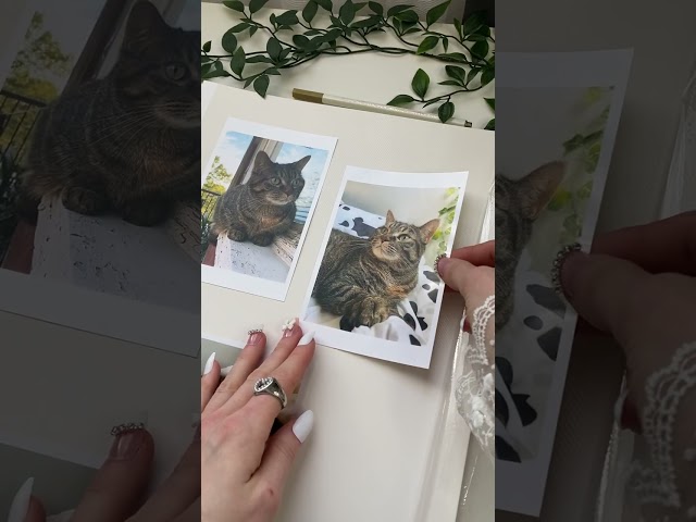 Vídeo relacionado con Vienrose Álbum de Scrapbook DIY Kit Completo 20,5 x 20,5 cm con Tapa de Lino, 40 Páginas Blancas y Accesorios Decorativos, Regalo para Bodas, Nacimiento, Viajes, Cumpleaños, Navidad, Beige