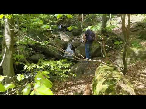 Durch die Höllbachgspreng auf den Großen Falkenstein