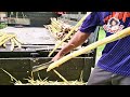 Amazing Skill Sugarcane Fruit Ninja Sugarcane Juice Malaysia Street Food