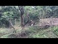 Marayoor, Kerala -Dolmens of Stone age, Sandalwood and Chinnar Wildlife Sanctuary