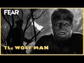Hunting Down The Wolf Man Final Scene The Wolf Man 1941