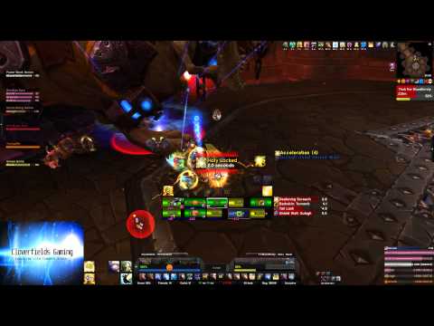 Thok the Bloodthirsty 10 Man Normal Disc Priest Pov