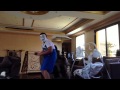Horror Harlem Shake