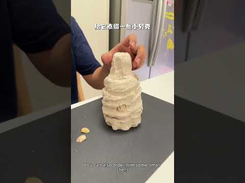 實用家居好物大合集，廚房收納、DIY改造、清潔妙招，讓生活整潔又省心！#厨房改造#生活小妙招#家居好物#生活日常