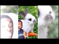 Rabbits Aren T As Cute As You Think