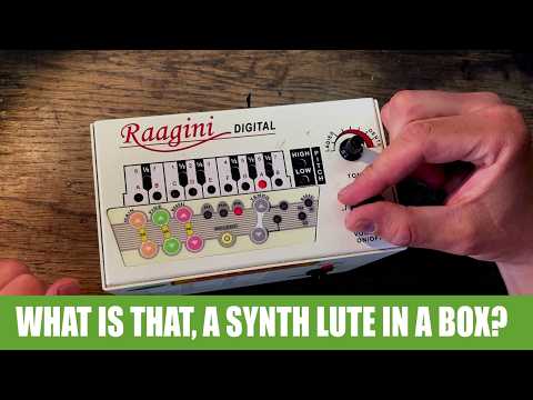 Raagini Electronic Tanpura Digital Drone Unit w/ Bag image 10