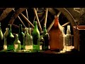 KORPIKLAANI - Tequila (OFFICIAL MUSIC VIDEO ...