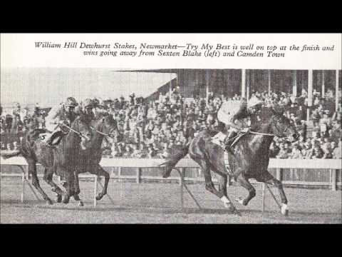 Try My Best wins 1977 Dewhurst Stakes