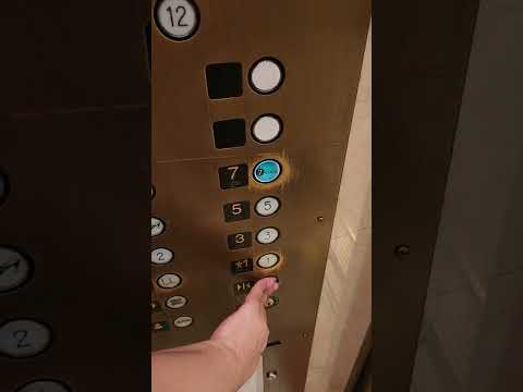 Famous Otis Low-Rise Elevator at Macy's State Street, Chicago, IL