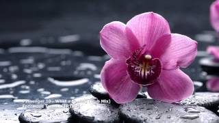 Passenger 10 - What a Feeling (Club Mix)[ETR180]