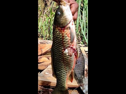 Hunting Karpa Part 2