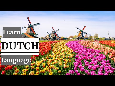 Learn Dutch