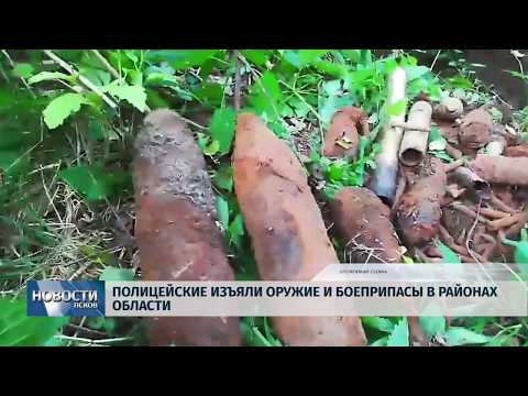 Новости Псков 25.07.2019 / Полицейские изъяли оружие и боеприпасы в районах области