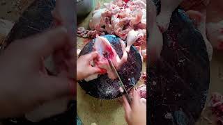 Download lagu how to cut a chicken into 12 parts #chicken #chickenmeat #freshchicken #chickenmeal #short mp3
