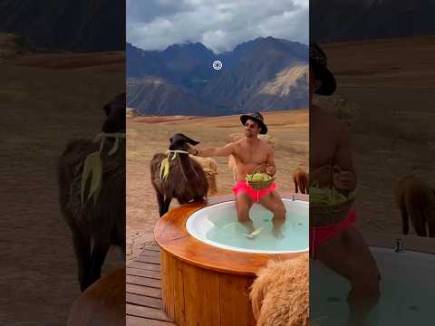 🦙 Lugares Top en Cusco