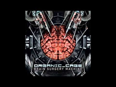 Organic Cage - 