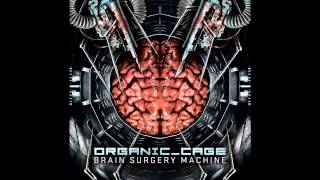 Organic Cage - "Extreme Paranoid Conditions"
