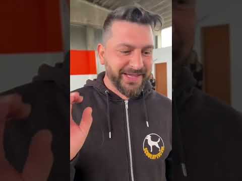 IL COLLARE A SCORRIMENTO - TOMMASO SMENTISCE TUTTE LE BUGIE DETTE.