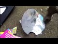 Dora The Explorer It S Hair Cut Day Dvd Destroy