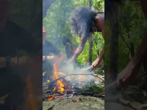 How to Clean a Peacock: Survival Style! 🦚🔥