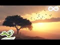 Beautiful Romantic Music Relaxing Music Guitar Music Violin Music Cello Music Piano Music