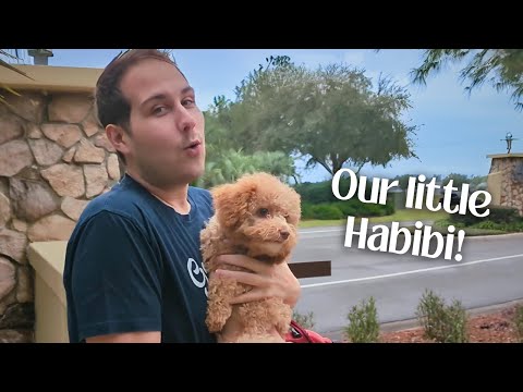 We got a puppy! Home Improvements, Traveling... 1/22/24