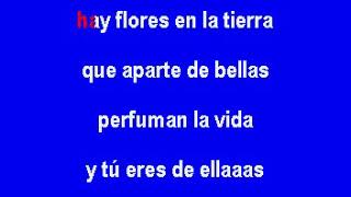 Vicente Fernández   Me tienes mimado Karaoke