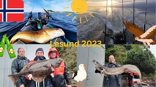 Norway Fishing 2023 - Lesund an der Trondheimsleia