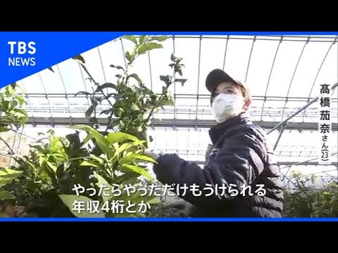 保全園芸の可能性がたくさんある