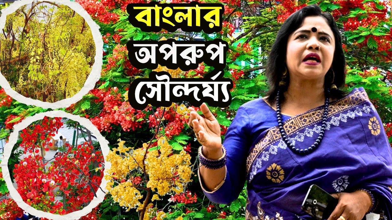পরিবেশ ধ্বংস করলে প্রকৃতিও নিষ্ঠুর আচরণ করবে