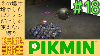 その日増やしたピクミンしか使えない縛り【現地調達ピクミン】#18
