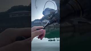 supチヌトップ 水面爆発