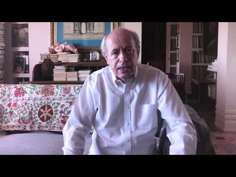 I Maestri in 60 secondi - Girolamo Muziano