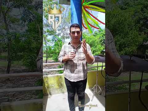 hector zuleta en Majagual-Sucre #seguidores #fe #reydejudáchallenge