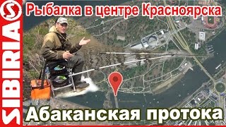 Удочки в красноярске форум