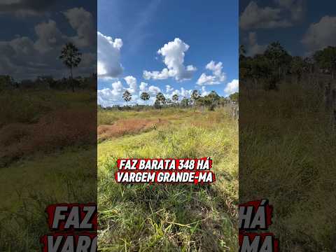FAZENDA BARATA 4 KM BR 222 MARANHÃO