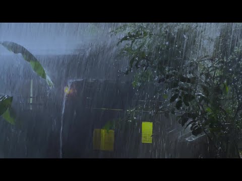 Dimentica L'insonnia e L'ansia per un Sonno Profondo con Forti Piogge e Tuoni Intensi di Notte