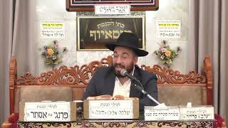 הרב מיכאל רביע | ליל תענית אסתר ומעלת יום הפורים | מוסאיוף (בית הכנסת מוסאיוף) - התמונה מוצגת ישירות מתוך אתר האינטרנט יוטיוב. זכויות היוצרים בתמונה שייכות ליוצרה. קישור קרדיט למקור התוכן נמצא בתוך דף הסרטון