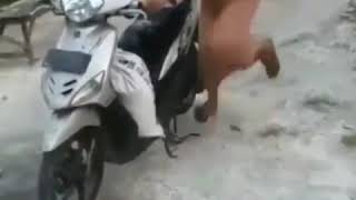 Download lagu Angel temen tuturanmu mp3