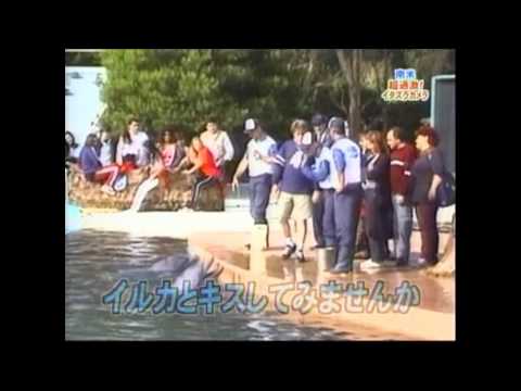 アルゼンチンの動物