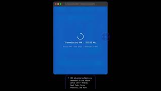 FOBworks Dashboard (SGP card mini edition) - screencap/explainer - rolling code, KeeLoq, sub-GHz