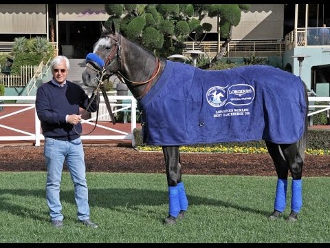 Arrogate - 2016 LONGINES World's Best Racehorse