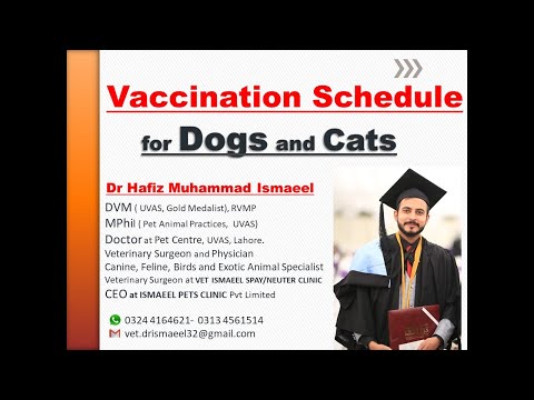 Vaccination Schedule for Dogs & Cats | Small Animal Practice | VET ISMAEEL OFFICIAL