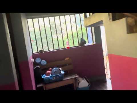 Chemiche san Pedro Necta Huehuetenango 