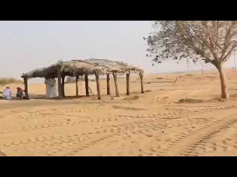 شيلة سق ياسعد