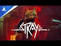 Stray - Trailer de lancement - 4K | PS4, PS5