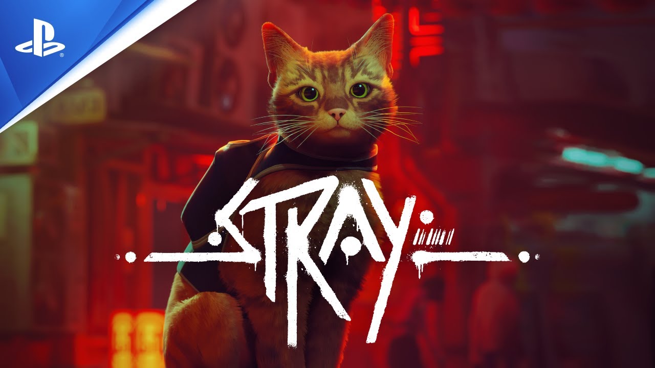 Trailer de Avis des joueurs : Stray