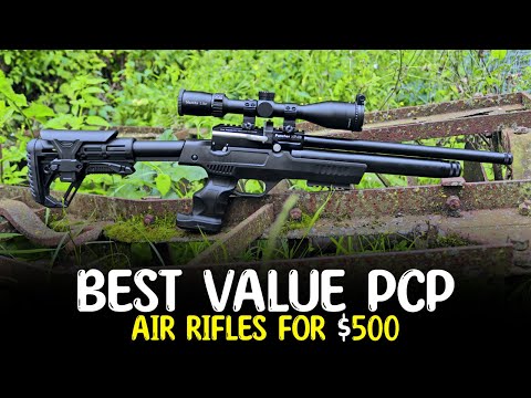 Top 10 Best Value PCP Air Rifles for $500 & Under - Best Hunting Air Rifles