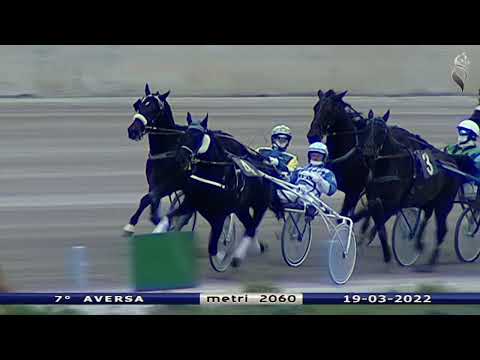 Aversa trotto 19 Marzo 2022 - 7° Corsa
